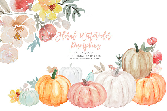 Pumpkin and Floral Watercolor in Illustrations - product preview 1