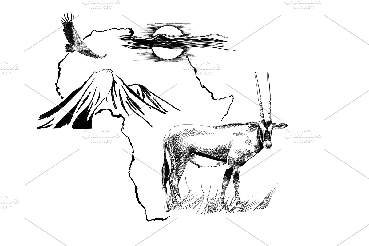 Gemsbok antelope (Oryx gazella) on A in Illustrations - product preview 8