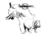 Hippo on Africa map background with