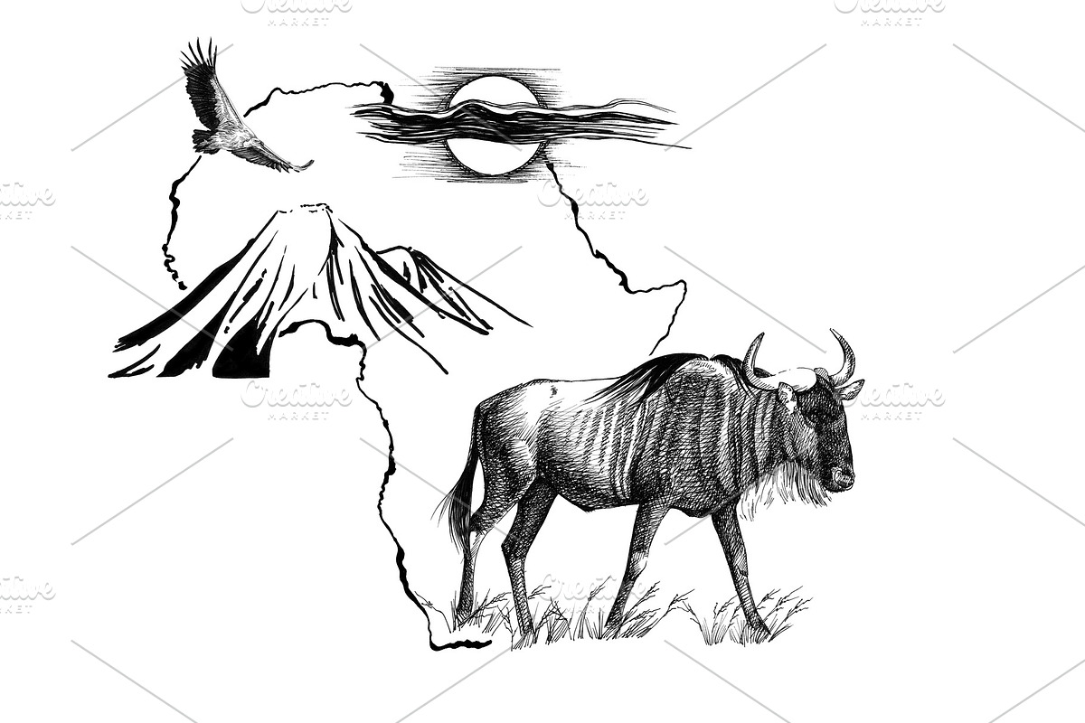 Wildebeest on Africa map background in Illustrations - product preview 8
