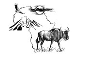 Wildebeest on Africa map background