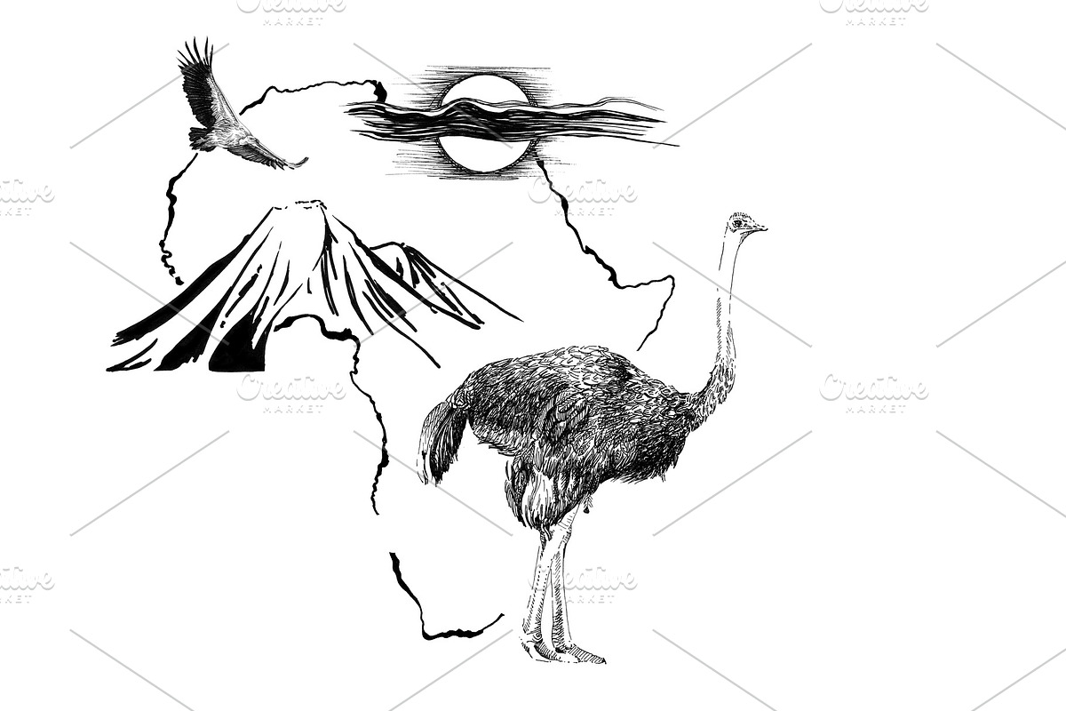 Ostrich on Africa map background wit in Illustrations - product preview 8