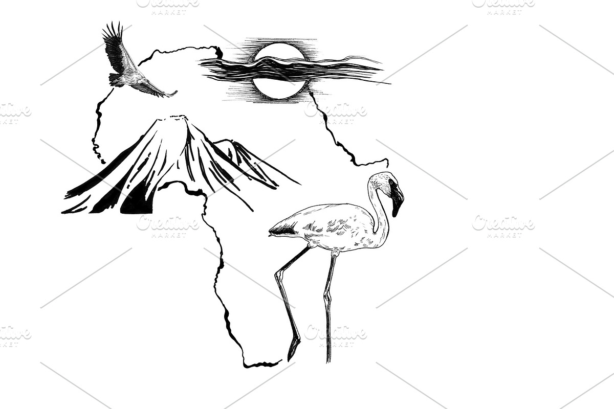 Flamingo on Africa map background wi in Illustrations - product preview 8
