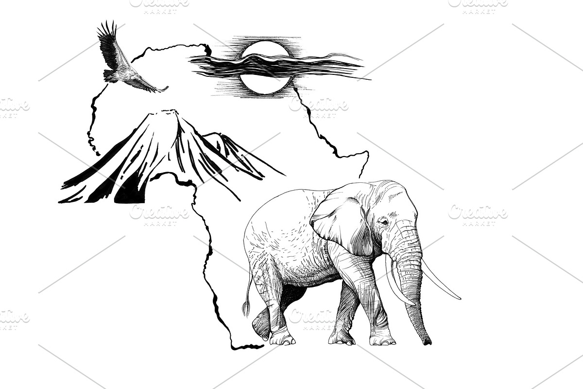 Elephant on Africa map background wi in Illustrations - product preview 8