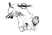 Lion on Africa map background with K