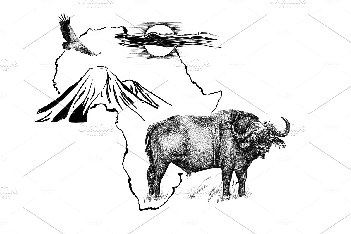 Buffalo on Africa map background wit in Illustrations - product preview 8