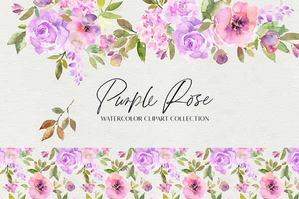 Purple Rose Watercolor Flowers PNG