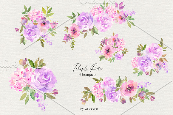 Purple Rose Watercolor Flowers PNG in Illustrations - product preview 1