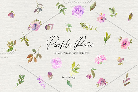 Purple Rose Watercolor Flowers PNG in Illustrations - product preview 4