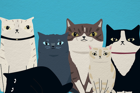 Cats 2019 in Illustrations - product preview 5
