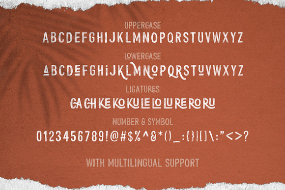 Cherions - SVG Sans (30% OFF) in Sans-Serif Fonts - product preview 8
