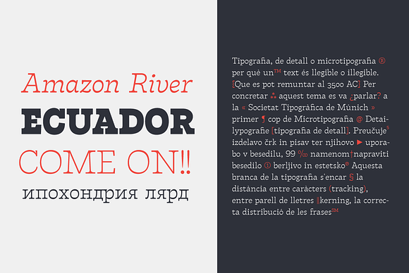 Tarif - 21 fonts in Slab Serif Fonts - product preview 4