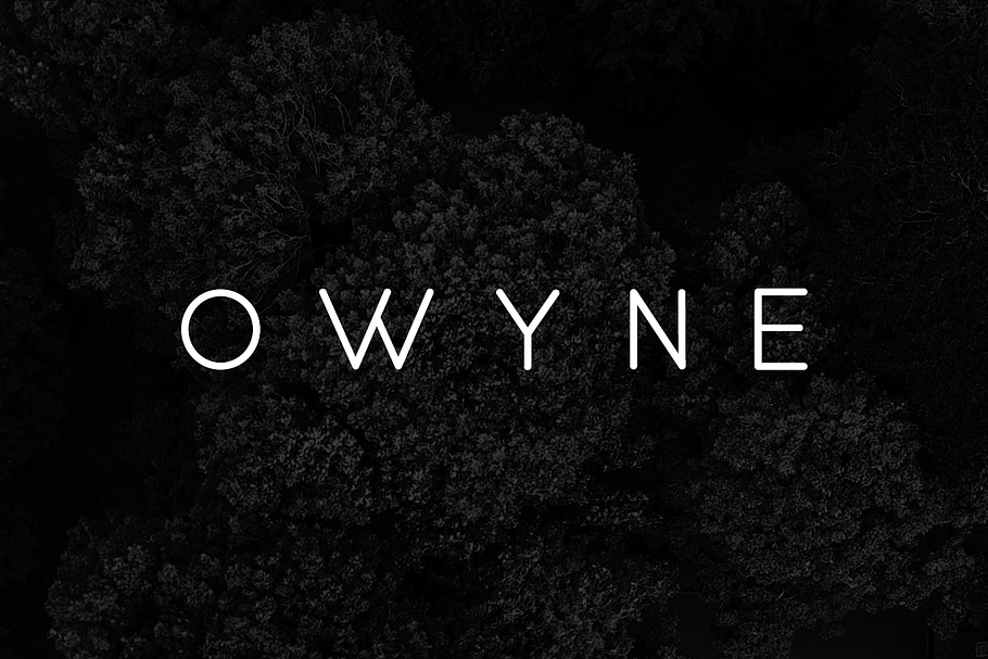 OWYNE - Modern & Stylish Typeface in Display Fonts - product preview 8
