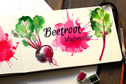 Beetroot. Watercolor sketch food