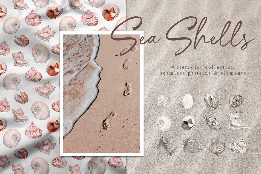 Sea shells - watercolor collection in Illustrations - product preview 8