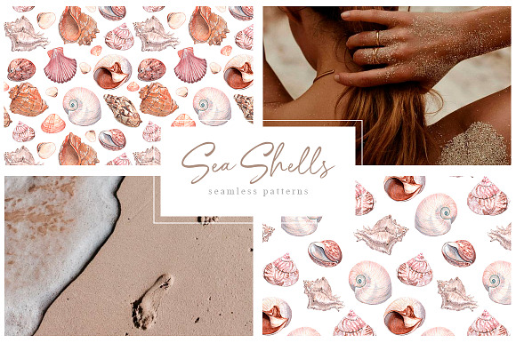 Sea shells - watercolor collection in Illustrations - product preview 1