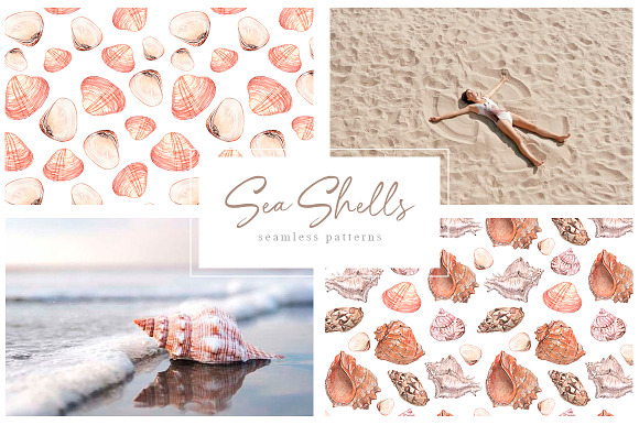 Sea shells - watercolor collection in Illustrations - product preview 2