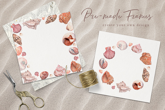 Sea shells - watercolor collection in Illustrations - product preview 3