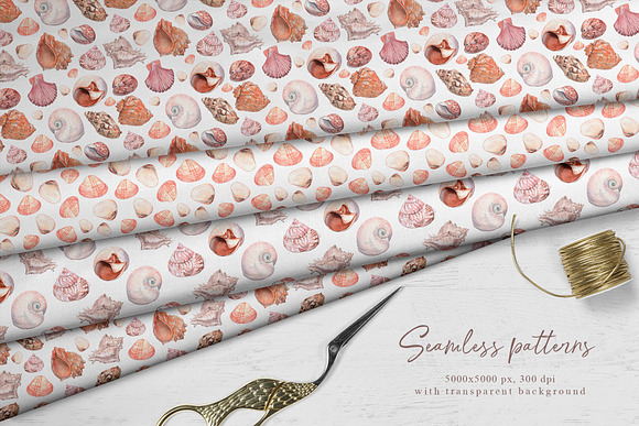Sea shells - watercolor collection in Illustrations - product preview 4