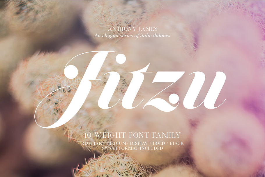 Jitzu Font Family in Professional Fonts - product preview 8