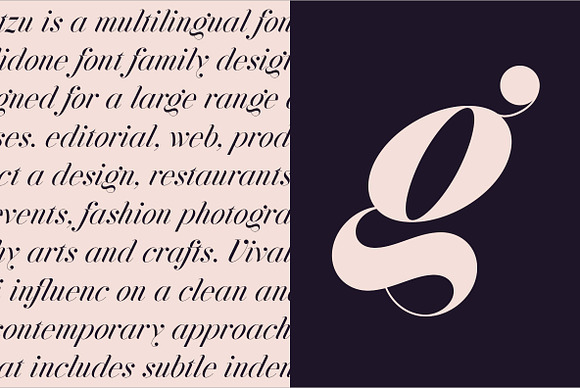 Jitzu Font Family in Professional Fonts - product preview 2