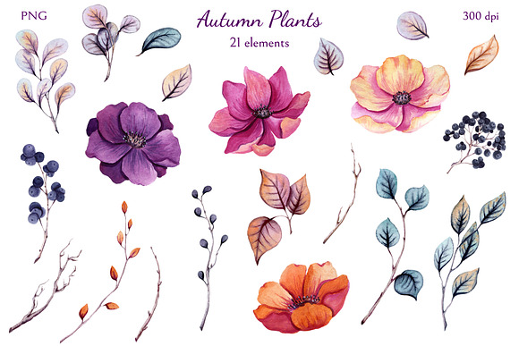 Autumn Plants in Illustrations - product preview 1