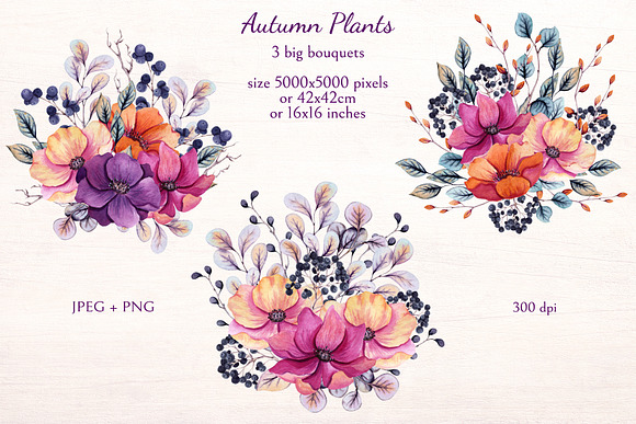 Autumn Plants in Illustrations - product preview 2