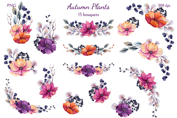 Autumn Plants in Illustrations - product preview 3