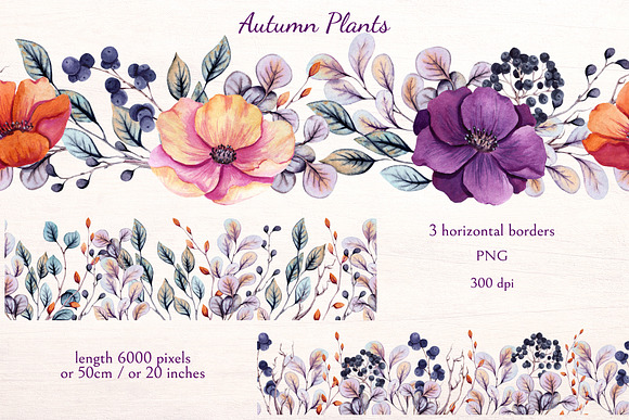 Autumn Plants in Illustrations - product preview 4