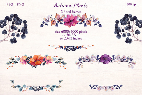 Autumn Plants in Illustrations - product preview 5