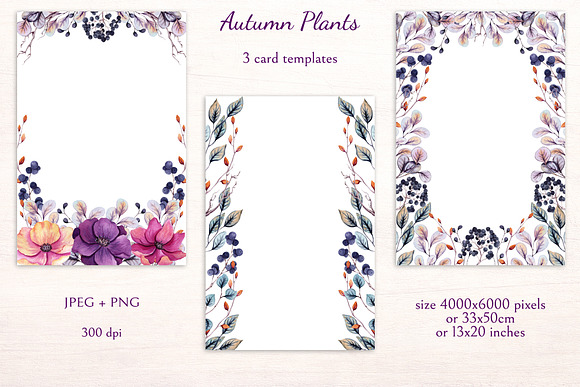 Autumn Plants in Illustrations - product preview 6