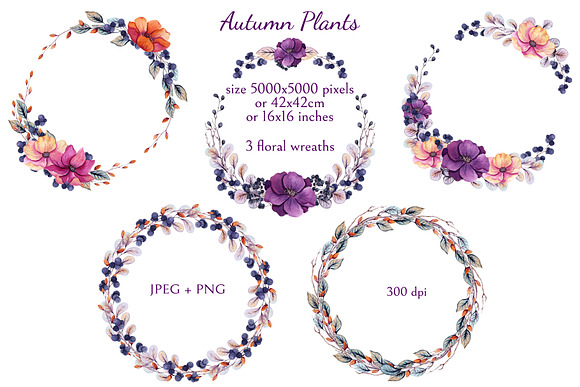 Autumn Plants in Illustrations - product preview 7