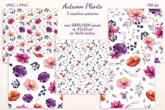 Autumn Plants in Illustrations - product preview 8