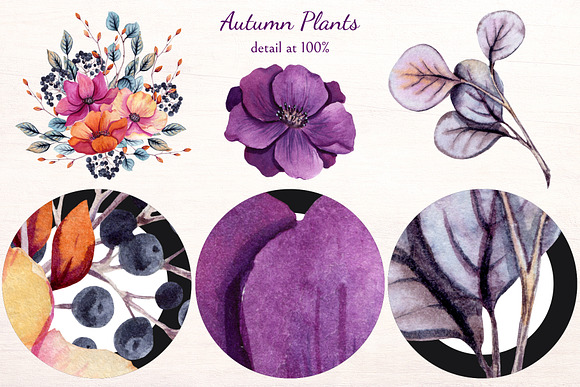 Autumn Plants in Illustrations - product preview 9