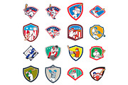 Baseball Player Shield Icon Set