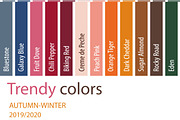 Fashion color trend palette vector