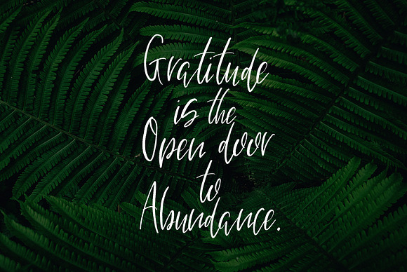 Bountiful Handlettered Font in Script Fonts - product preview 7