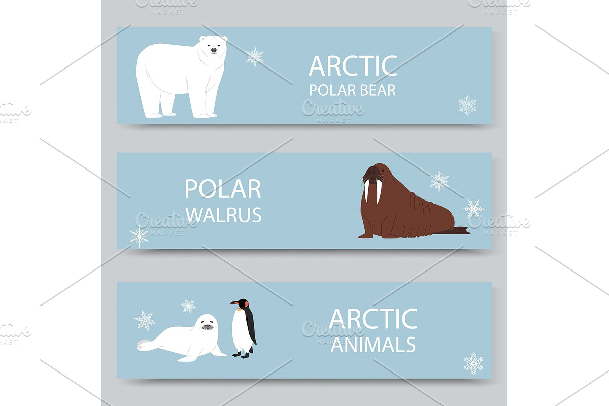 Arctic animals and north pole in Illustrations - product preview 8