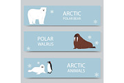 Arctic animals and north pole