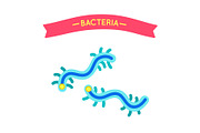 Microorganism Bacteria or Microbe