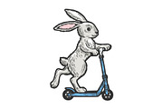 Bunny riding on scooter color sketch