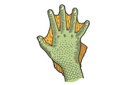 Hand amphibian man color sketch