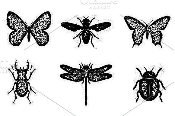 Dirty insect set in Illustrations - product preview 1
