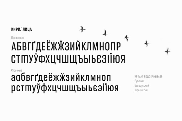 RF Takt Basic Pack in Sans-Serif Fonts - product preview 12