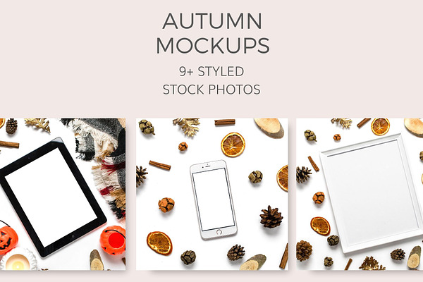 Autumn Vibe Mockups (18 Images)