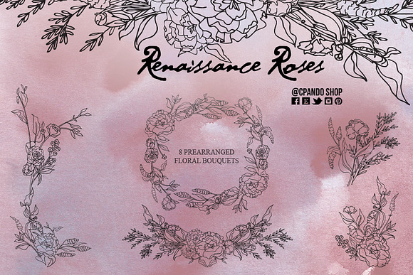 Renaissance Roses hand drawn flowers in Illustrations - product preview 3