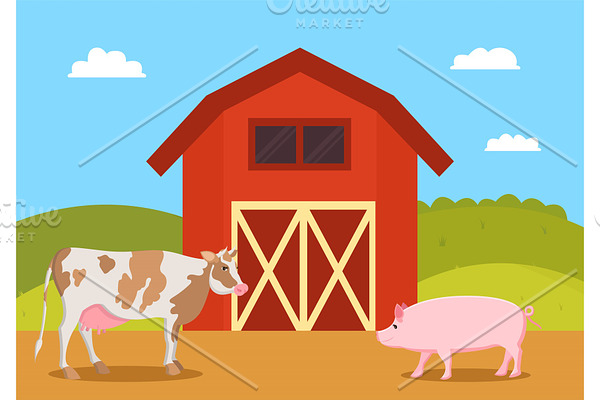 Cow and Pig Swine on Farm Vector