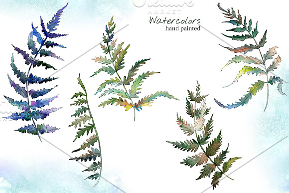 Fern leaf clipart watercolor png in Illustrations - product preview 1
