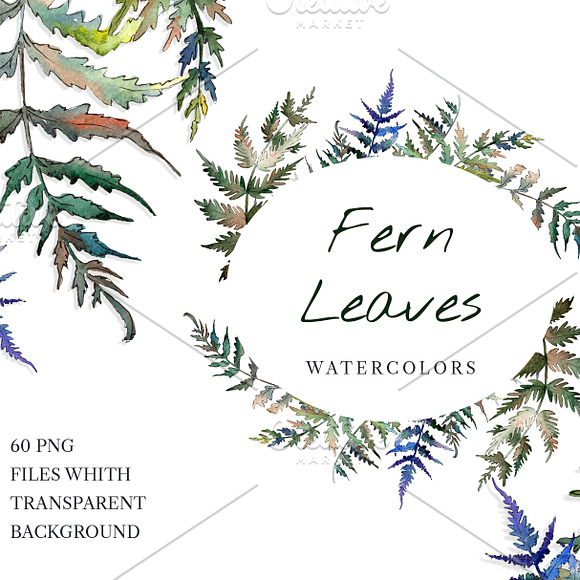 Fern leaf clipart watercolor png in Illustrations - product preview 6