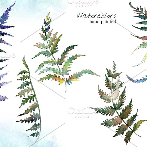 Fern leaf clipart watercolor png in Illustrations - product preview 7